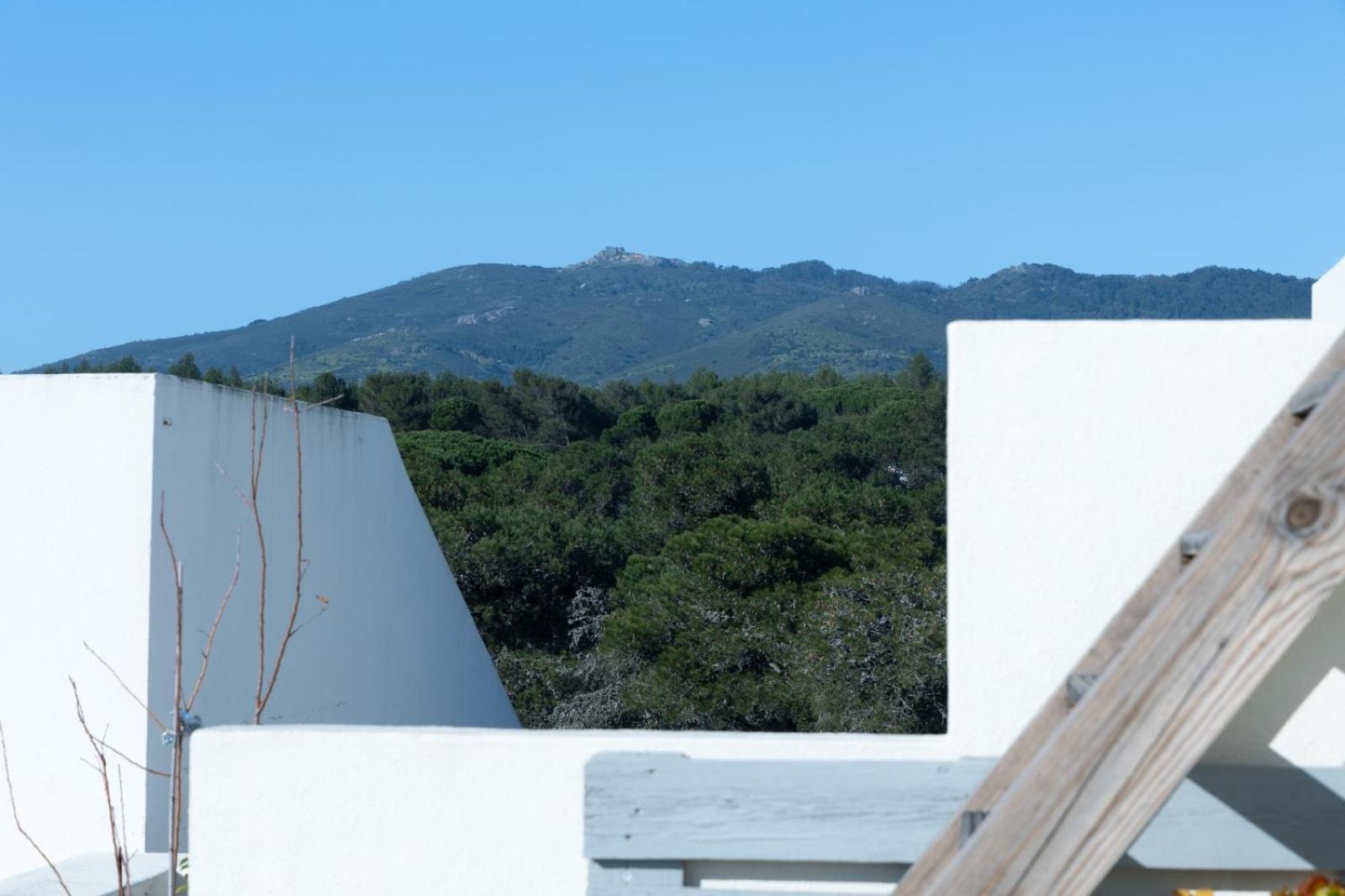 Villa Roots House Cascais Exterior foto